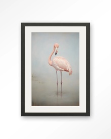 TABLOU - FLAMINGO - Img 12