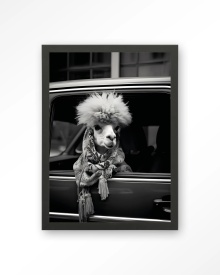TABLOU - ALPACA IN TAXI - Img 8