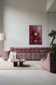 TABLOU - DE ELEGANTIE VAN DE KERSTROOS - Img 4