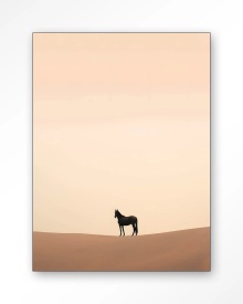 TABLOU - DESERT HORSE - Img 5