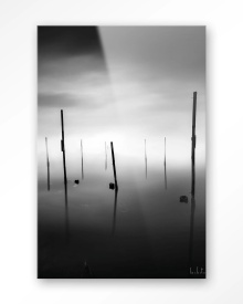 TABLOU - FALL IN - Img 7