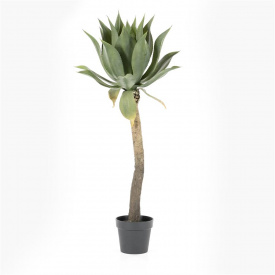AGAVE PE TULPINA MARE - POLIESTER/PLASTIC - MULTICOLOR - 51(L) x 122(h) x 51(l)