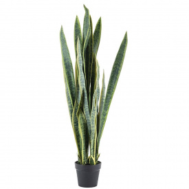 SANSEVIERIA - MARE - POLIESTER/PLASTIC - VERDE - 50.5(L) x 133(h) x 50.5(l)