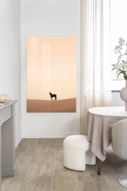 TABLOU - DESERT HORSE - Img 2