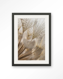 TABLOU - NATUURLIJKE ABSTRACTIE - Img 12