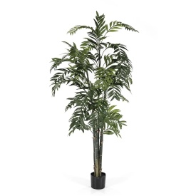 GROOT PENTRU PLANTE DE BAMBUS - - MULTICOLOR - 70(L) x 70(l) x 180(h)