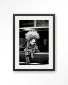 TABLOU - ALPACA IN TAXI - Img 12
