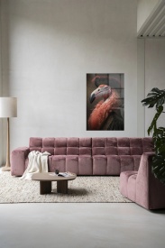 TABLOU - FLAMINGO - Img 4