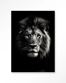 TABLOU - MIGHTY LION