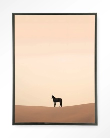 TABLOU - DESERT HORSE - Img 3