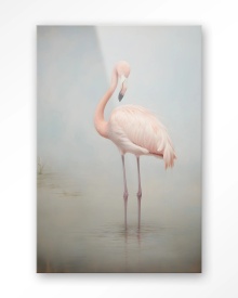 TABLOU - FLAMINGO - Img 7