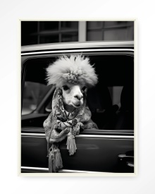 TABLOU - ALPACA IN TAXI - Img 3