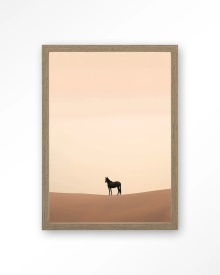 TABLOU - DESERT HORSE - Img 10