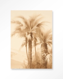 TABLOU - DESERT MIRAGE