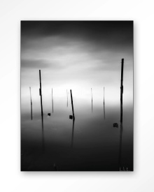 TABLOU - FALL IN - Img 4