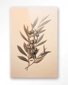 TABLOU - OLIVA - Img 7