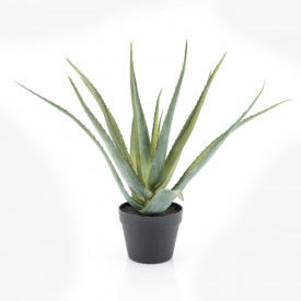 ALOE VERA - PLASTIC - VERDE -41(L) x 58.5(h) x 41(l)