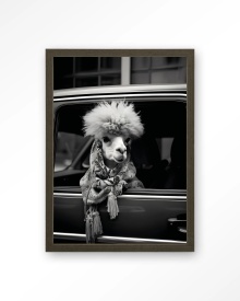 TABLOU - ALPACA IN TAXI - Img 10