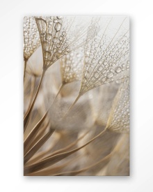 TABLOU - NATUURLIJKE ABSTRACTIE - Img 7