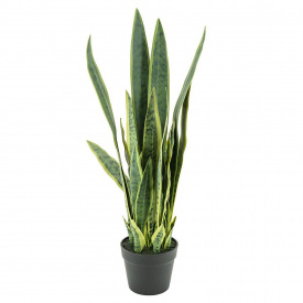 SANSEVIERIA MEDIU - PLASTIC - VERDE - 25.5(L) x 78(h) x 25.5(l)