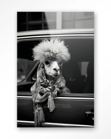 TABLOU - ALPACA IN TAXI - Img 7