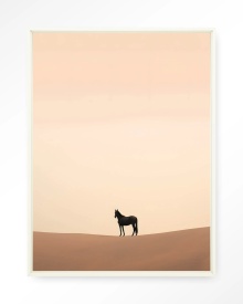 TABLOU - DESERT HORSE - Img 4