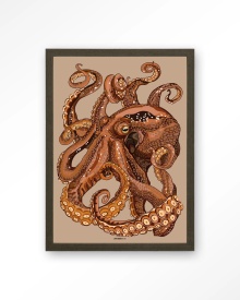 TABLOU - PULPO - Img 12