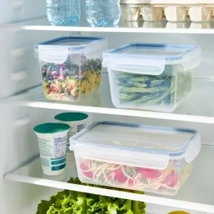 Cutie alimentară Rotho Clic & Lock 1 L – recipient ermetic pentru frigider și congelator
