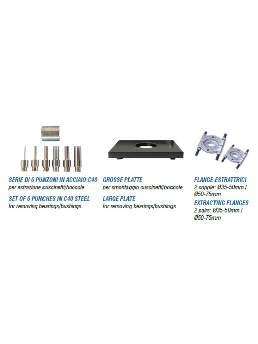 Optional: set poansoane, placa si flanse presare: 1250 Lei + TVA