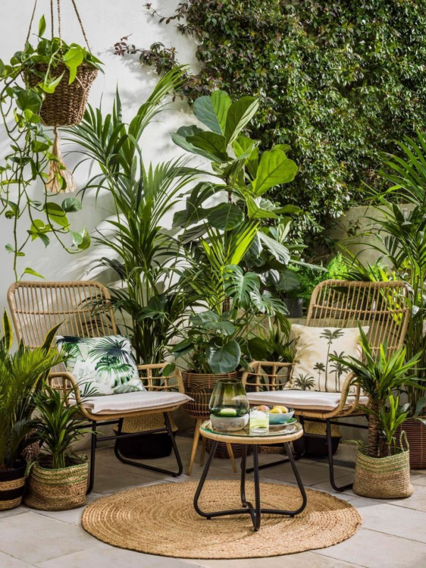 Ce este designul interior biofilic și de ce ai nevoie de o casă biofilică!