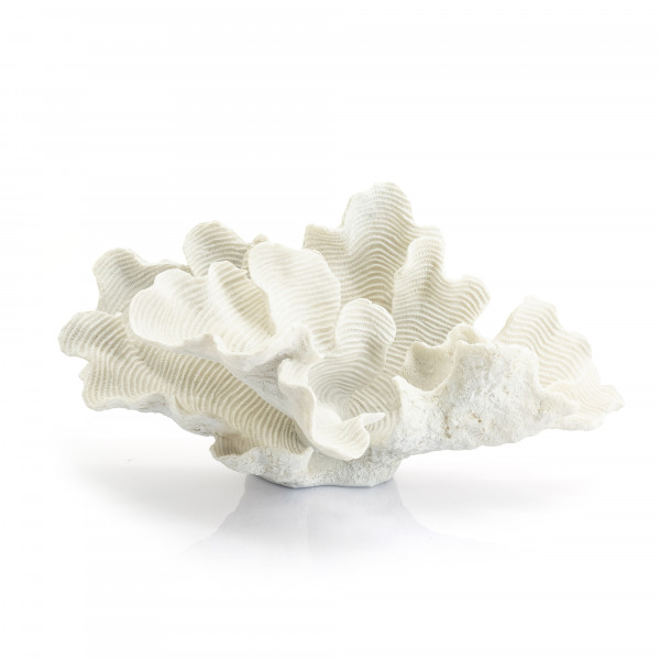 Decoratiune coral alb