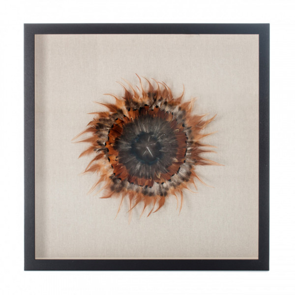 Tablou Feather headdress I 60cm x 60cm