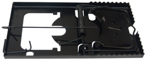 Cursa Pentru Soareci / 160X88Mm