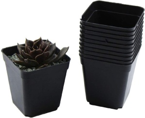 Ghiveci patrat 8 x 8 x 7 cm, culoare negru, Set 1000 buc
