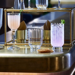 Pahare cocktail Florian 245 ml - 10524 - Img 2
