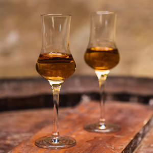 Pahare degustare Grappa 95 ml - Img 2
