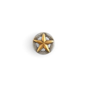 Ornamente Stea model 3D Tandy Leather SUA - Img 5