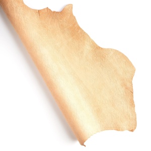 Piele tabacita embosata- diverse modele, Tandy Leather SUA - Img 10