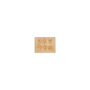 Sablon reutilizabil Craftaid, model natura (aer liber) (Outdoors) pentru modelaj piele - Tandy Leather 76520-00 - Img 4