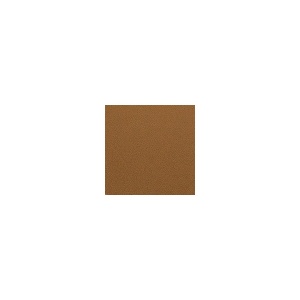 Foaie de KYDEX COYOTE BROWN - 2.36mm grosime - Img 4