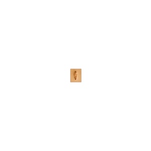 Stanta de embosare piele Craftool M881 (matting pebble) - Tandy Leather 6881-00 - Img 3