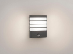 RACCOON WALL LANTERN ANTHRACITE 1X3W SEL - Img 1