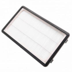 Filtru Hepa pentru Rowenta RO3718EA RO3753EA tip RS-RT900586 ZR903501 - Img 2