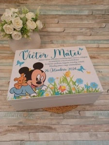 Cufar trusou botez Mickey