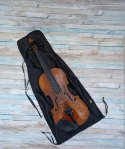 Husa vioara personalizata 