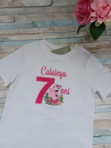 Tricou aniversar Flamingo