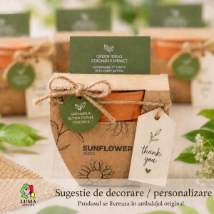Mini ghiveci cu semințe de floarea-soarelui – mărturie și cadou creativ - Img 5