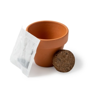 Mini ghiveci cu semințe de floarea-soarelui – mărturie și cadou creativ - Img 2