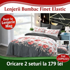 Set Lenjerie cu Elastic Finet Gros COPE223