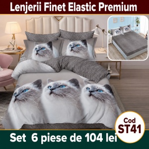 Lenjerie de pat finet 6 piese cu Elastic ST41